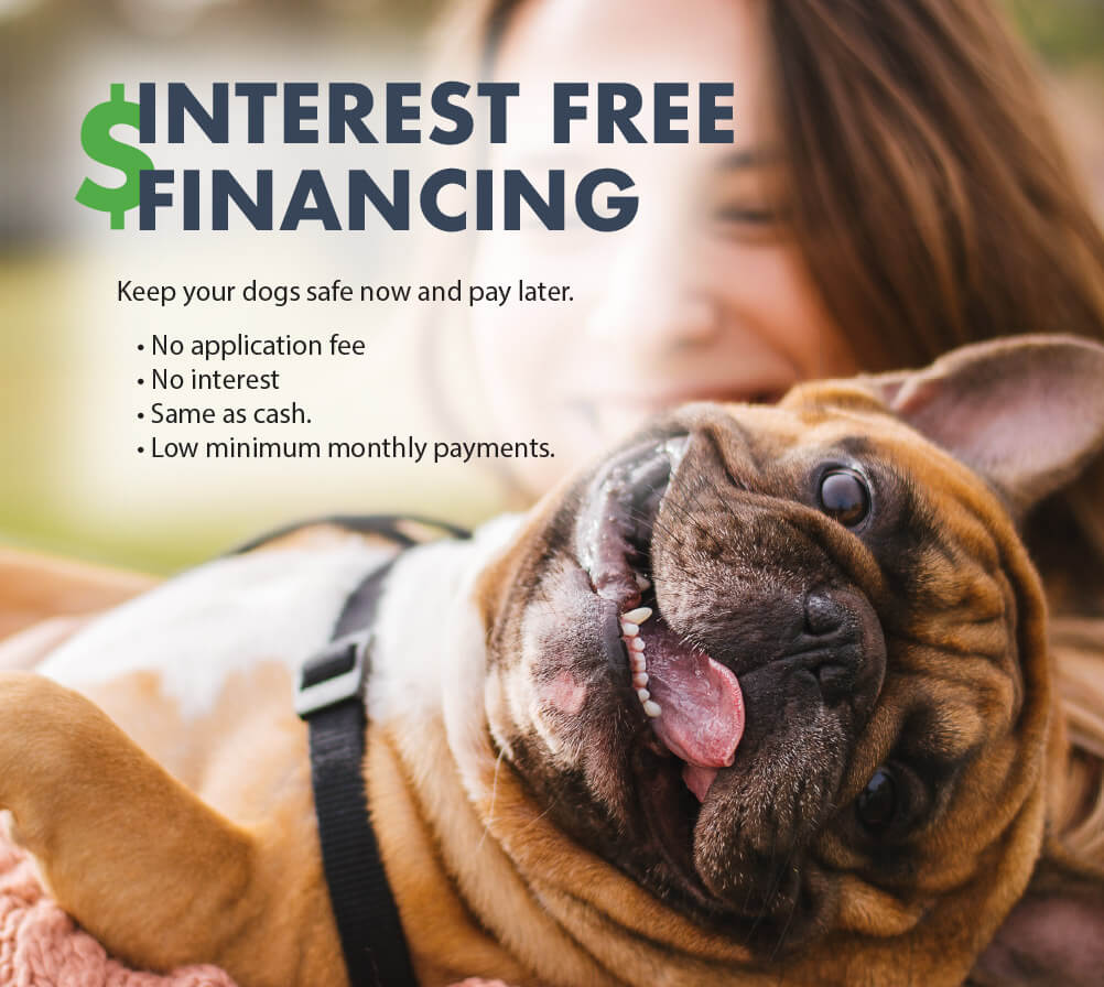 Pet fence financing options