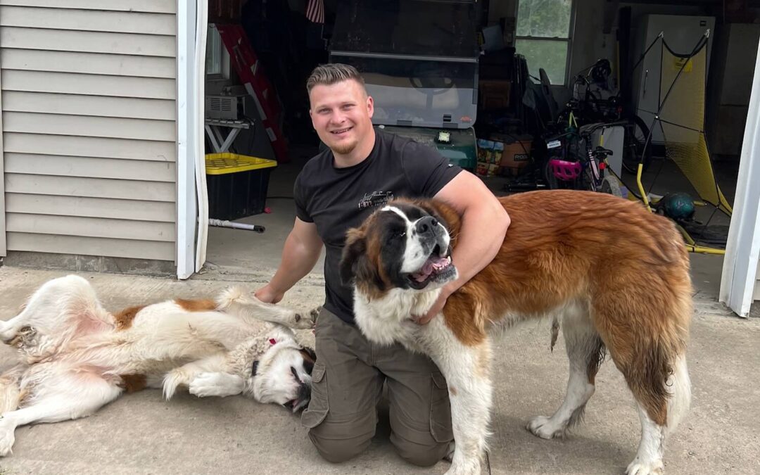Saint Bernard Spotlight