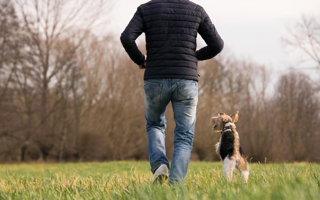 Man’s Best Friend