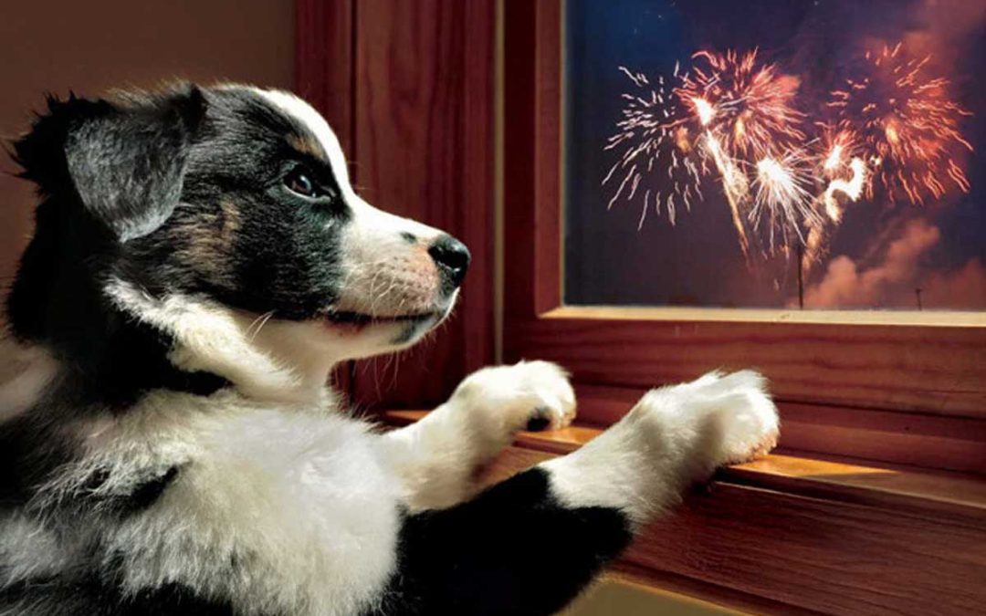 Preparing for the 4th of July